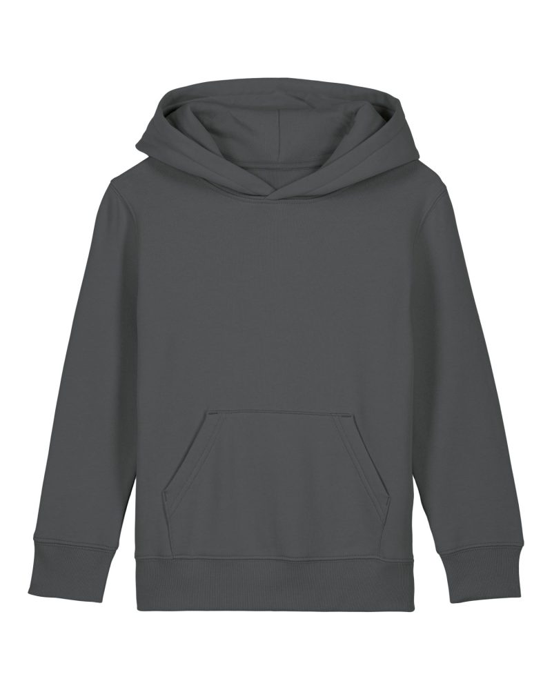 Sudadera con capucha Mini Cruiser 2.0 Stanley Stella - Anthracite